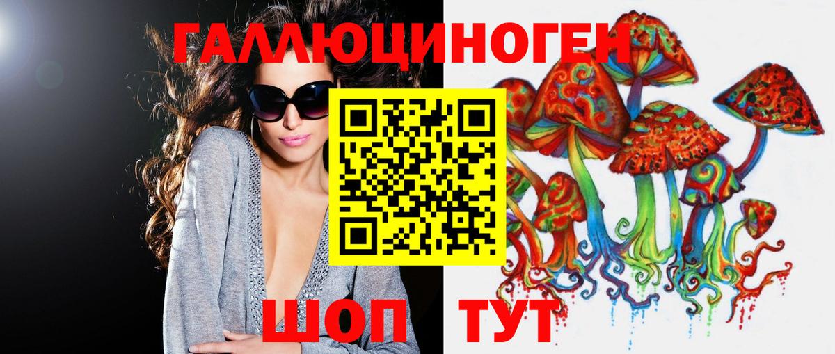 Псилоцибиновые грибы GOLDEN TEACHER  Галлюциногенные грибы MAGIC MUSHROOMS  Вход с VPN  магазин продажи наркотиков  Тавда 